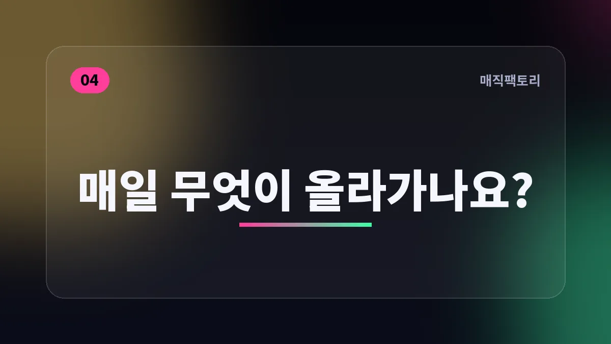 매일 무엇이 올라가나요?