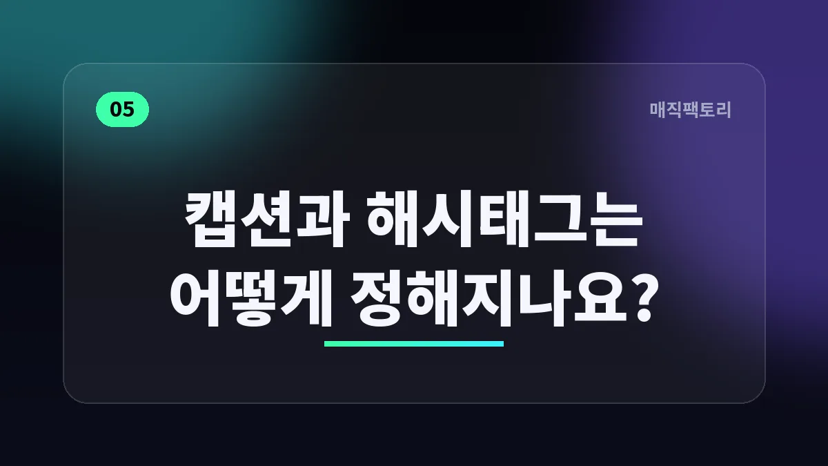 캡션과 해시태그는 어떻게 정해지나요?