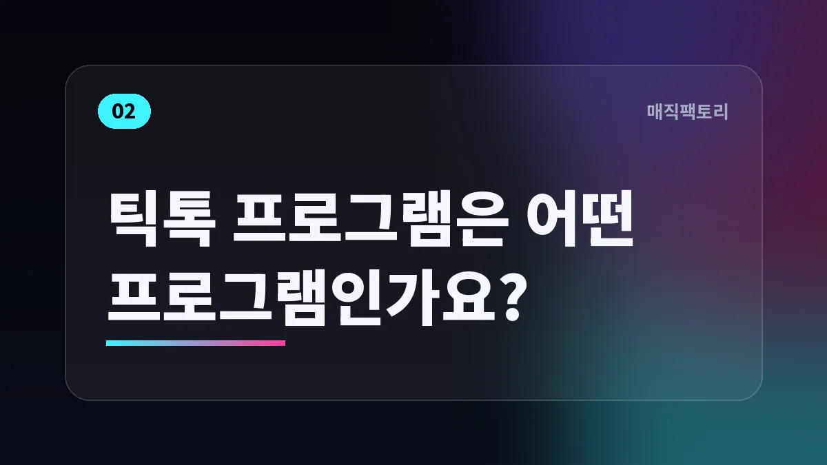 틱톡 프로그램은 어떤 프로그램인가요?