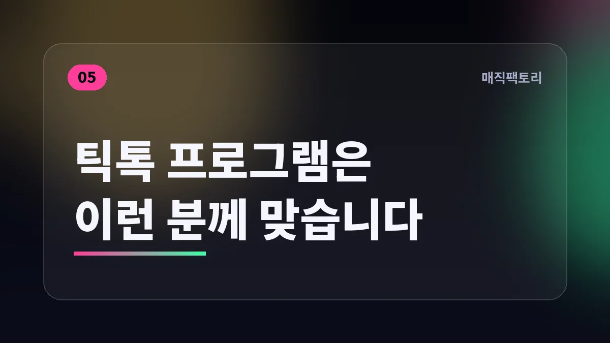 틱톡 프로그램은 이런 분께 맞습니다
